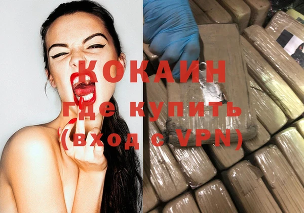 ешки Снежногорск