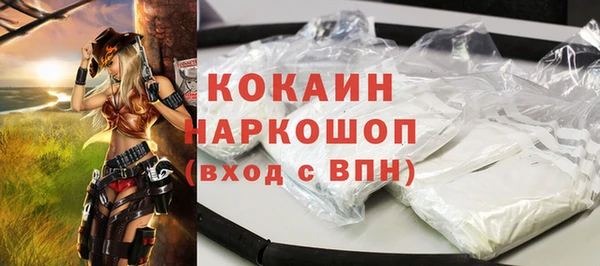 ешки Снежногорск