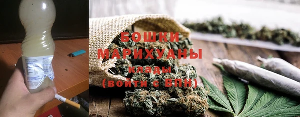ешки Снежногорск