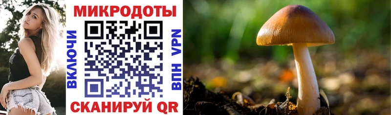 Псилоцибиновые грибы прущие грибы  Купить где  Волосово 