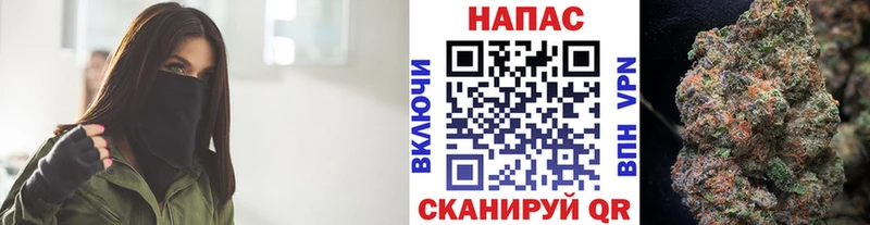 Купить закладки  Волосово  Шишки марихуана план 
